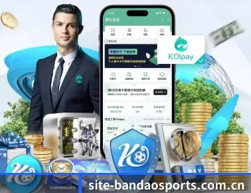 半岛体育平台 APP | Bandao
